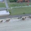 8/8 川崎 翡翠賞ダ1500m【ボールドポリシー《3戦目》】