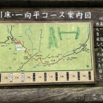 あだると山の会