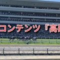 《会員サイト内を無料公開》データ競馬といえばコレ！【高確馬データ配信】のご案内