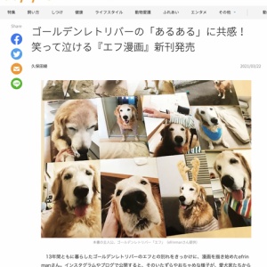 エフ漫画が本になりました リンマンブルース ゴールデンレトリバーの生態とマンガ Powered By ライブドアブログ