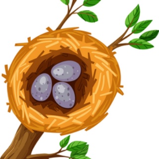 僧侶でアナウンサー川村妙慶の日替わり法話