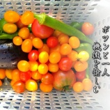 『佐川武彦トリオライブ in Cafe&Studioはだ氷室』の画像