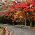 風景写真家・西川貴之の気まぐれブログ