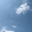 チワワのポーチ