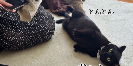 猫とお酒と日々のこと - 日々の事 Powered by ライブドアブログ