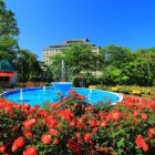 週間東大軟庭部 第188号