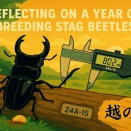 2025年の振り返り／②飼育パターンが軌道に乗り収支が改善