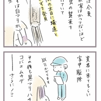 多雨影響で今年困っていること