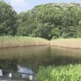 【怖すぎ】埼玉で池の水を抜いた結果、中からとんでもない◯◯◯が出てきてしまう……うわああああ((((( ；ﾟДﾟ)))