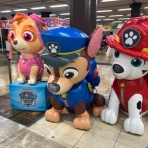 メゾンカルチャークラブ武蔵小杉テニススクールSTAFFブログ