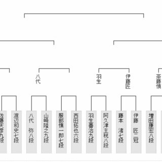 【棋聖戦 決勝トーナメント】佐藤天彦九段が渡辺和史七段に勝利しベスト８進出を決める　他