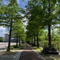 韓国地方旅行　デジョン旅⑧　市民のオアシス　大田広域市『ハンバッ樹木園　西園』　대전광역시　한밭수목원 서원
