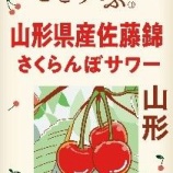『「さくらんぼの王様」のみずみずしさ味わえる「J-CRAFT TRIP 山形県産佐藤錦さくらんぼサワー 」』の画像