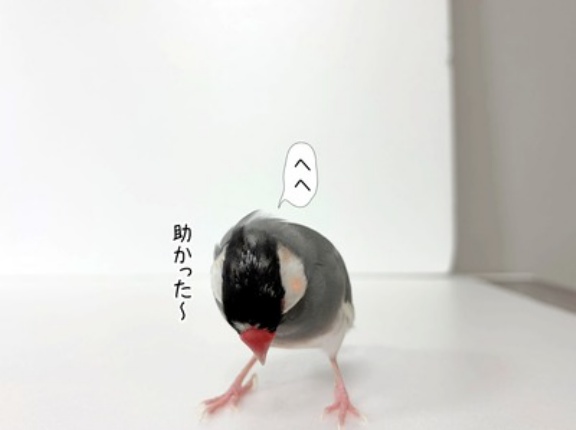なんとか乗り越えた…