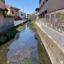 柏原を歩く　今町