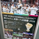 侍ジャパン、世界一への挑戦２０２６