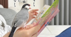 拒否される私