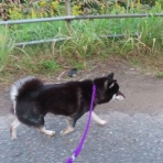 churahamaのブログ