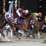 『【遠征結果】【関係者コメント】⑤ソルジャーフィルド(牡2=川島洋人厩舎)が地方最先着の3着! 第75回全日本2歳優駿〔JpnⅠ〕』の画像