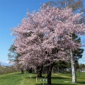 十勝川河川敷　【帯広市】