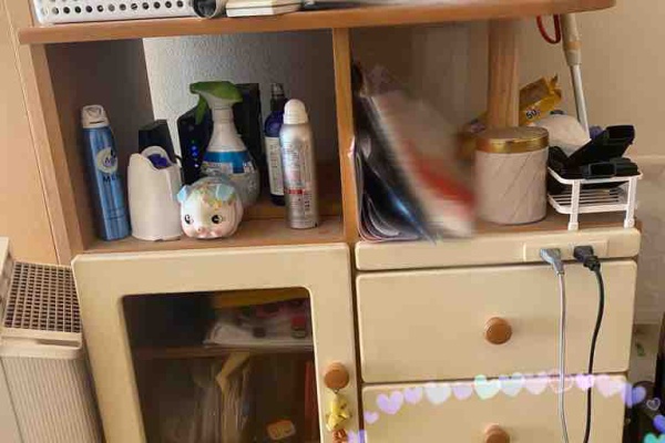 汚部屋 片付け 掃除日記 汚部屋 片付け 掃除日記