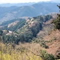 春の高尾山に登ってみる