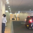 青森市中心部の「クロスタワー　ア・ベイ」にクマ侵入　銃で撃ち1頭『駆除』