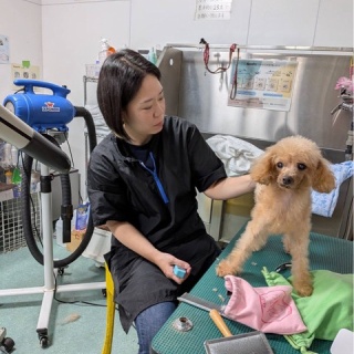 NPO法人ペット里親会