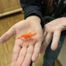 2025年アドベントカレンダーを開けていく:12月18日