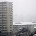 雪とセンサー