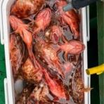 三邦丸船長日記