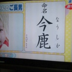 てとらぽっど旋風