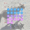 ６・７月 講習日程のお知らせ☔️