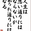 12月5日(火)久々の投函です。