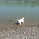 管理機デビュー☆