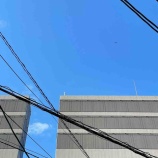 『今年を振り返り』の画像