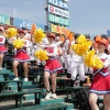 札幌大谷チアが甲子園できつねダンス披露！