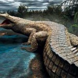 古代の巨大生物ロマンあり杉ｗｗｗｗｗｗｗｗ
