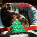 シュー＆セナ リターン