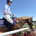 初心者マークの誘導馬バビットに会ってきました