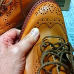 オートバイとスポルティーフと模型道楽２