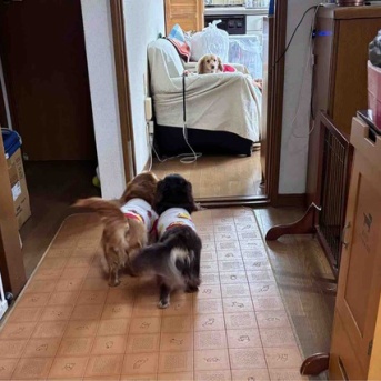 撮れ高ゼロの日。