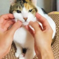 なーでなーでが好き