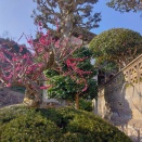 2月のできごと2026