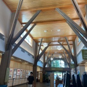 どうしても理解できない