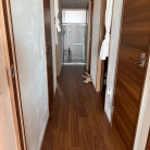 わか坊も、廊下に落ちてる