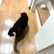 遊ぶシニアとだらける若者