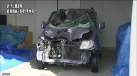 脱走した競走馬と車衝突、男性死亡、馬も死ぬ…笠松競馬場