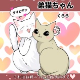 お姉ニャンが大好きなボンくんシリーズをまとめました