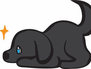 【画像】子犬さん、真っ黒ｗｗｗｗｗｗｗｗｗｗｗｗｗｗｗｗ